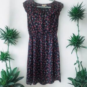 Monteau Los Angeles MP Floral Dress, Scalloped Neckline and Sleeves, V-Neck